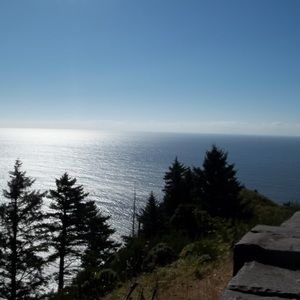 Meet your Posher, Marlee